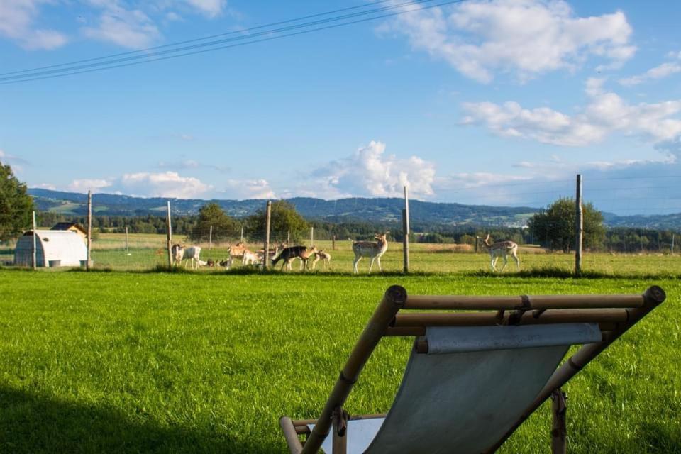 Ranczo Zwierzyniec Noclegi Jordanow Exteriér fotografie